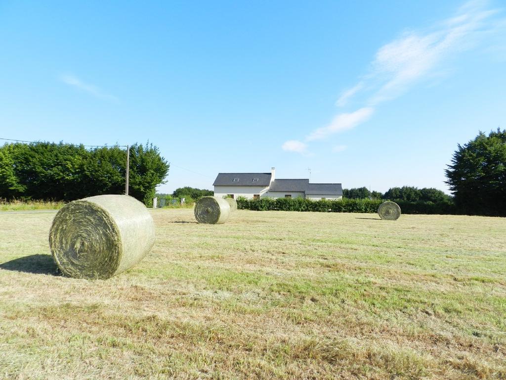 Gite La Grenouillere Esqueheries エクステリア 写真