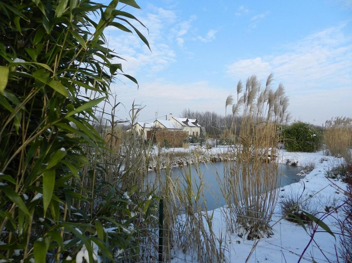 Gite La Grenouillere Esqueheries エクステリア 写真